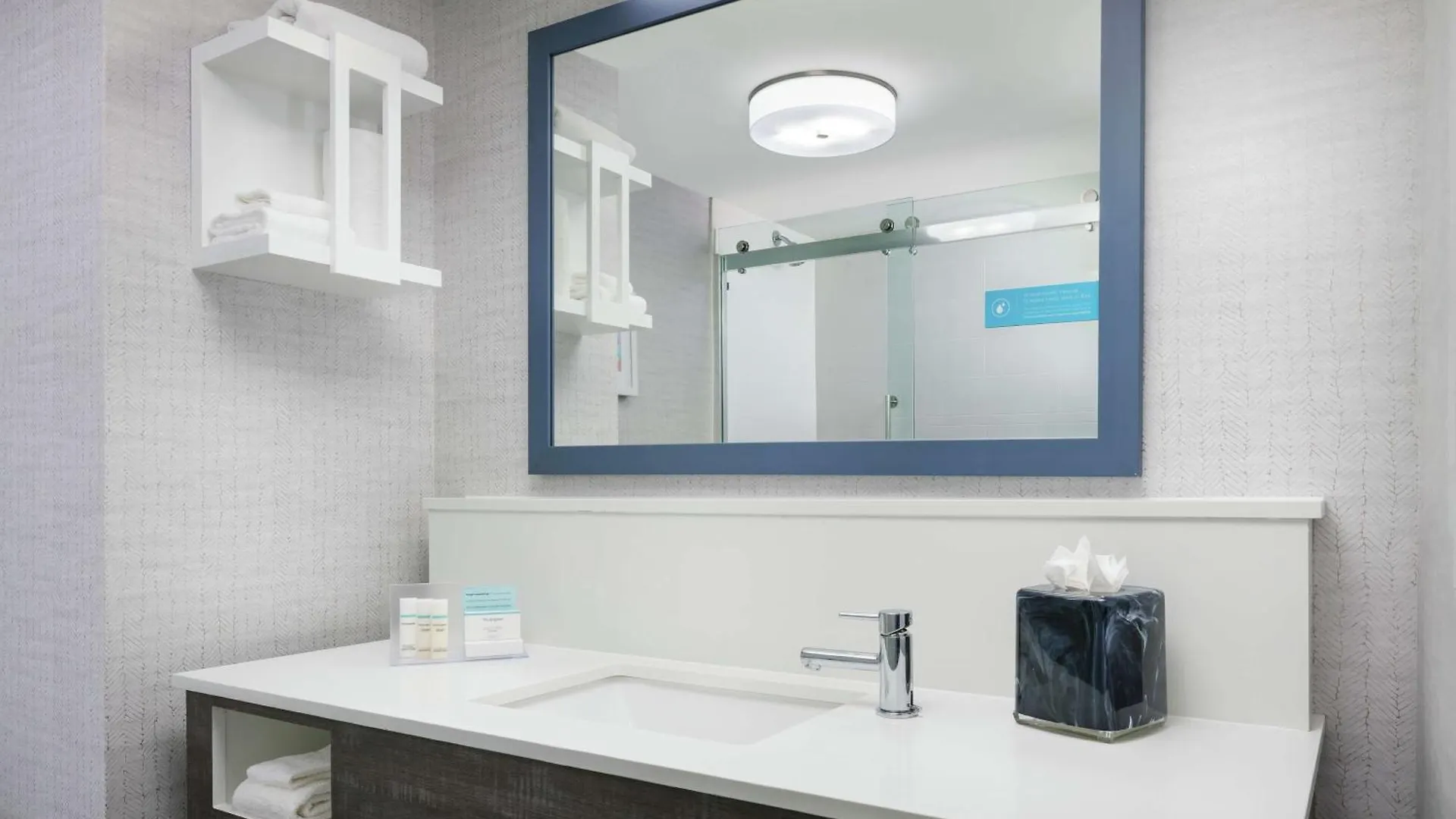 Hotel Hampton Inn & Suites Tampa Ybor City Downtown